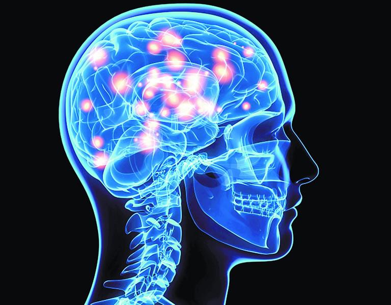 مغز,اخبار علمی,خبرهای علمی,پژوهش