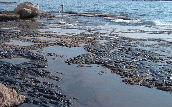 آلودگی دریای خزر,اخبار علمی,خبرهای علمی,طبیعت و محیط زیست