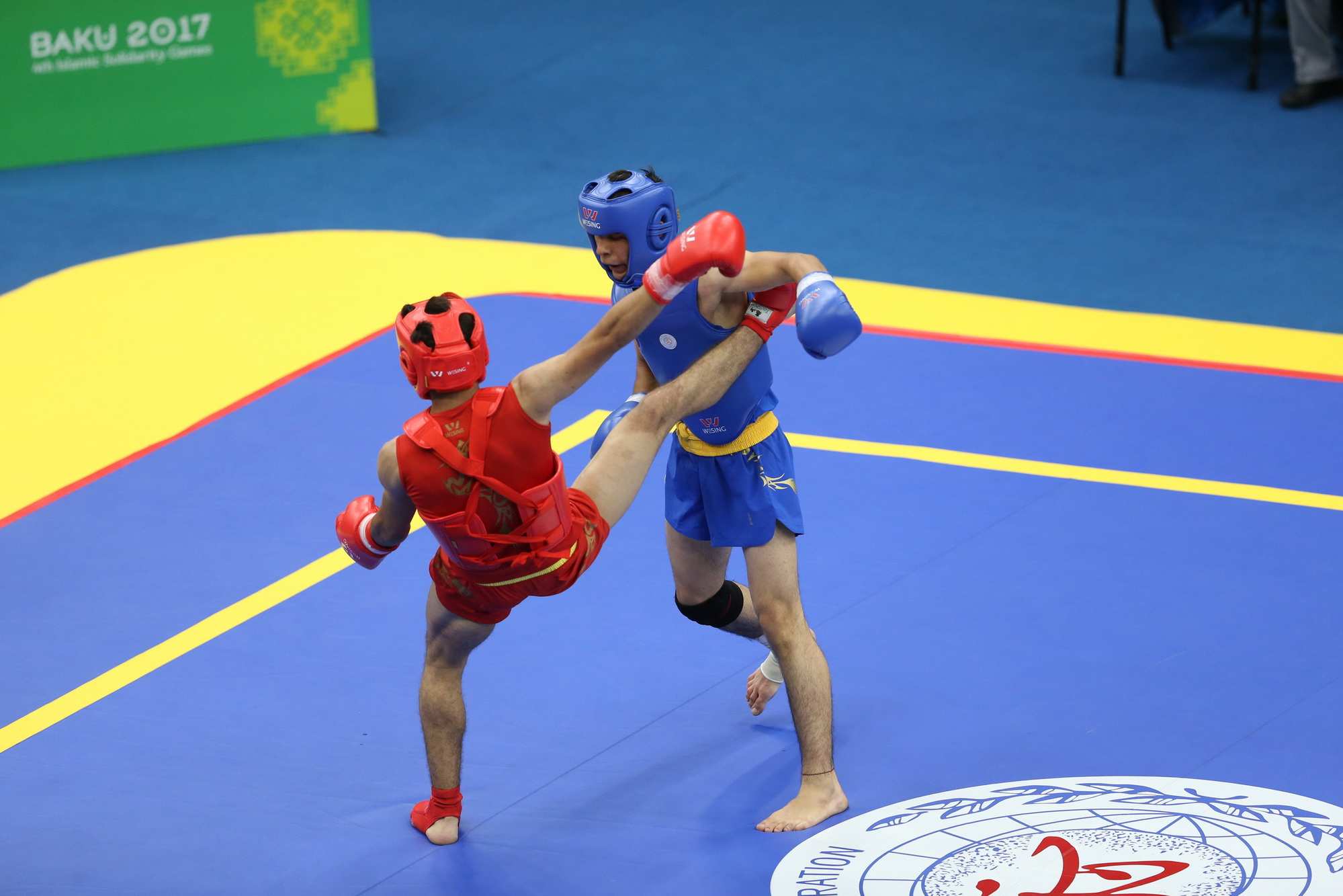 ووشو ووشو,اخبار ورزشی,خبرهای ورزشی,ورزش