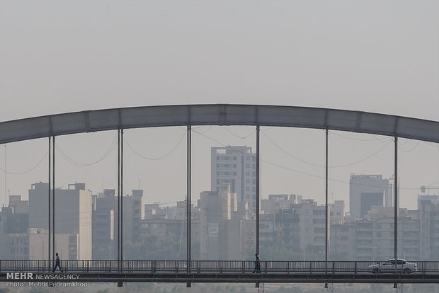 اهواز اهواز,اخبار اجتماعی,خبرهای اجتماعی,محیط زیست