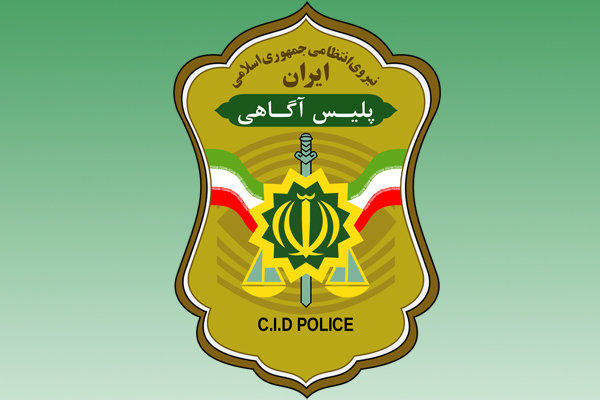 پلیس آگاهی تهران,اخبار اجتماعی,خبرهای اجتماعی,حقوقی انتظامی