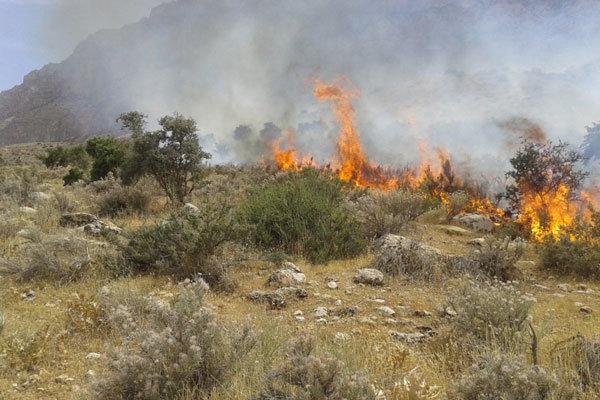 آتش‌سوزی دو هکتار از مراتع روستای سرهه ساوجبلاغ,اخبار حوادث,خبرهای حوادث,حوادث امروز