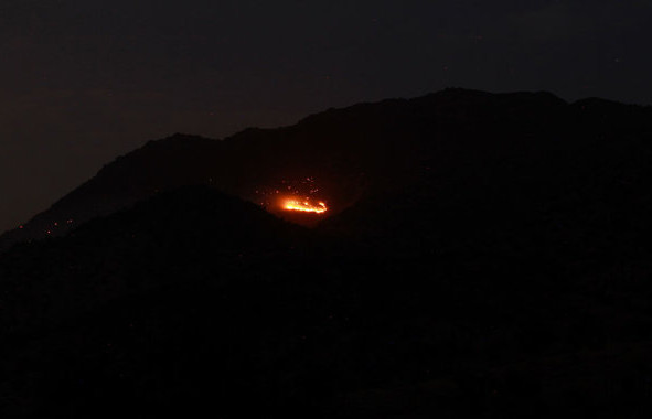 آتش سوزی در جنگل دهلیج,اخبار حوادث,خبرهای حوادث,حوادث امروز
