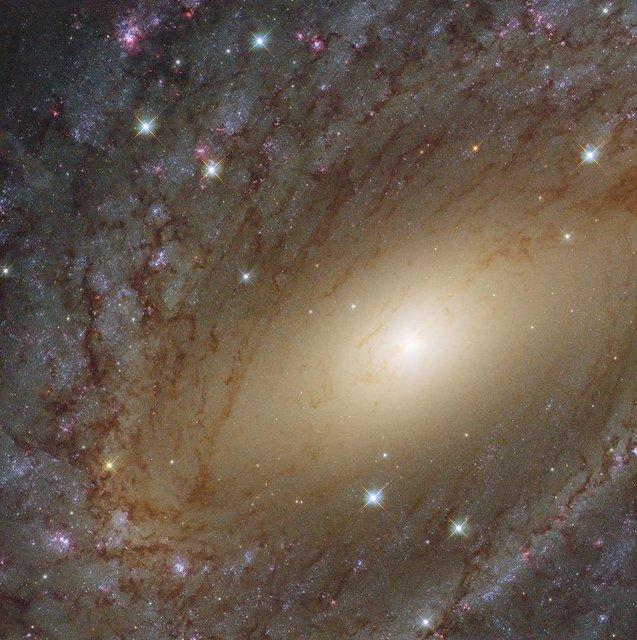 کهکشان مارپیچی,اخبار علمی,خبرهای علمی,نجوم و فضا