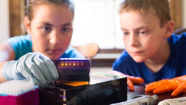 خشک کردن انجمادی DNA خشک کردن انجمادی DNA,اخبار علمی,خبرهای علمی,پژوهش