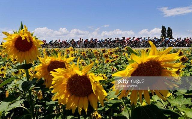 تصاویر تور دو فرانس,تصاویر مسابقه دوچرخه سواری,تصاویر دیدنی تور دو فرانس
