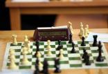 مسابقات شطرنج ابوظبی,اخبار ورزشی,خبرهای ورزشی,ورزش