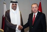 اردوغان و امیر قطر,اخبار سیاسی,خبرهای سیاسی,خاورمیانه