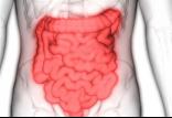 دستگاه گوارش,اخبار پزشکی,خبرهای پزشکی,تازه های پزشکی
