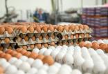 قیمت تخم مرغ,اخبار اقتصادی,خبرهای اقتصادی,اصناف و قیمت