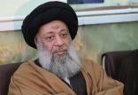 محمدعلی موسوی جزایری,اخبار سیاسی,خبرهای سیاسی,اخبار سیاسی ایران