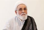 علی اکبر ناطق نوری,اخبار سیاسی,خبرهای سیاسی,اخبار سیاسی ایران