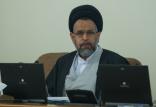 سید محمد علوی,اخبار سیاسی,خبرهای سیاسی,اخبار سیاسی ایران