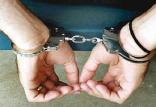 دستگیری متهم,اخبار اجتماعی,خبرهای اجتماعی,حقوقی انتظامی