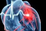 قلب,اخبار پزشکی,خبرهای پزشکی,تازه های پزشکی