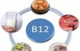 منابع ویتامین B12,اخبار پزشکی,خبرهای پزشکی,مشاوره پزشکی