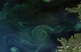 تصویر فیتوپلانکتون‌ های خلیج فنلاند از فضا,اخبار علمی,خبرهای علمی,نجوم و فضا