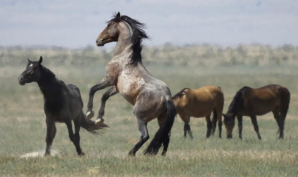 تصاویر دیدنی روز,عکس های دیدنی های امروز,تصاویر دیدنی روز از دریچه دوربین97/05/02