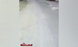 ویدیو/ ریختن گازوییل در جاده چالوس و تهدید جان مردم