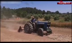 ویدئو/آموزش مراحل کاشت زعفران