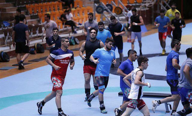 تیم ملی کشتی فرنگی,اخبار ورزشی,خبرهای ورزشی,کشتی و وزنه برداری