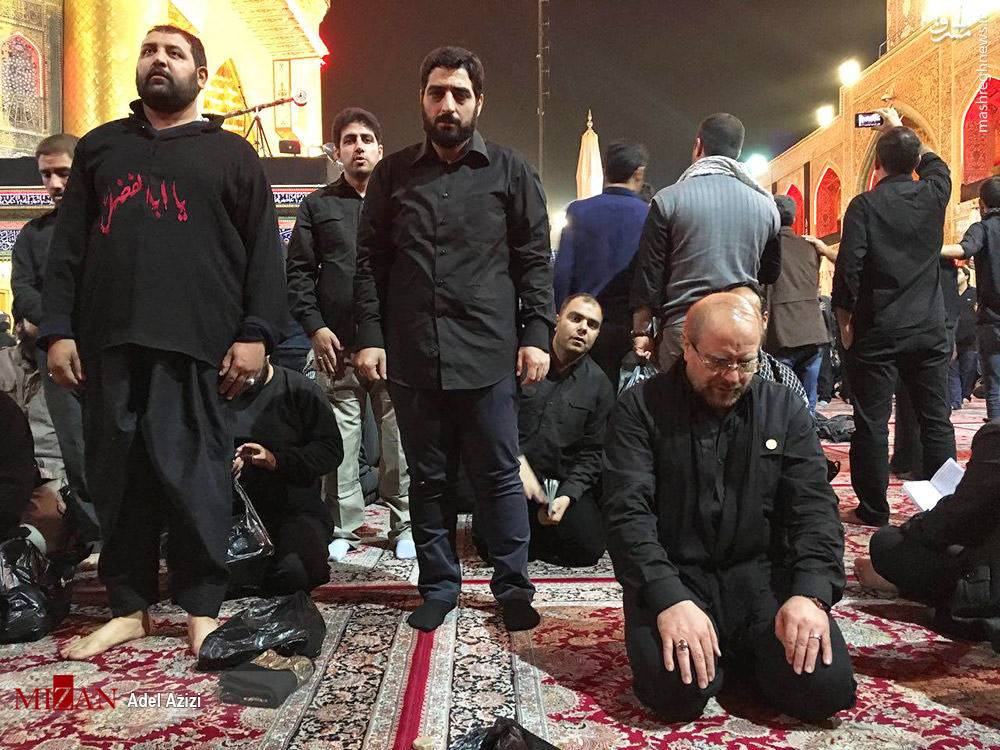 مداح مداح,اخبار سیاسی,خبرهای سیاسی,اخبار سیاسی ایران