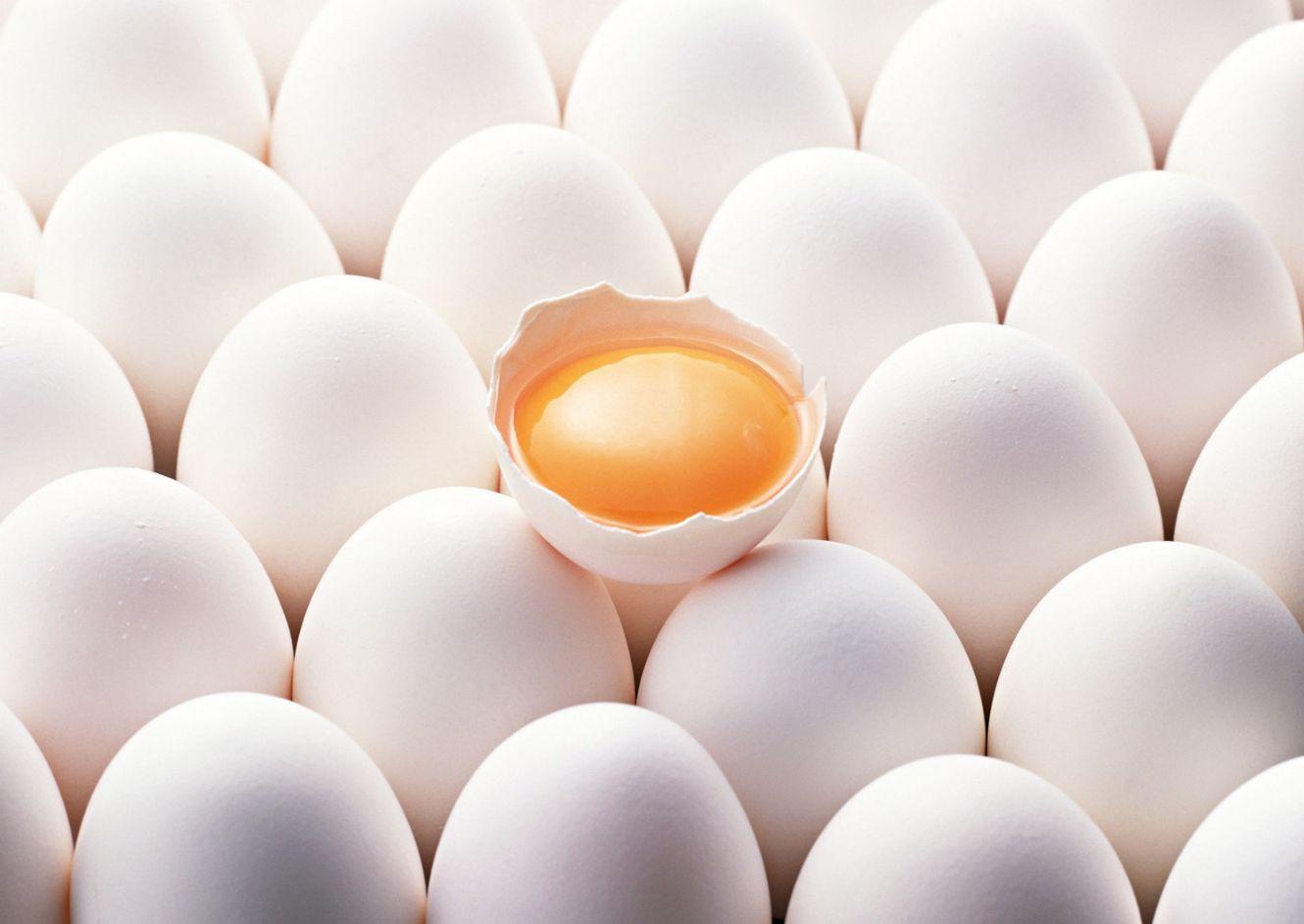 تخم مرغ,اخبار اقتصادی,خبرهای اقتصادی,کشت و دام و صنعت
