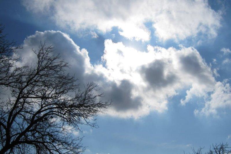 دمای هوای پایتخت,اخبار اجتماعی,خبرهای اجتماعی,محیط زیست