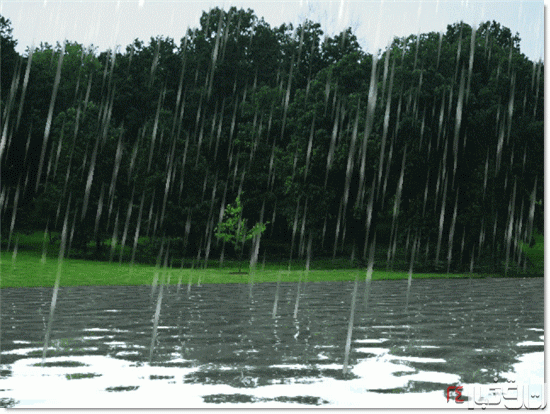 بارش باران,اخبار اجتماعی,خبرهای اجتماعی,محیط زیست