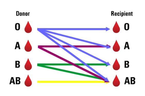 خون,اخبار پزشکی,خبرهای پزشکی,تازه های پزشکی