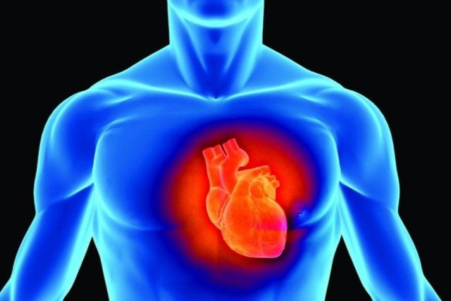 اثرات استرس محیطی بر بافت قلب,اخبار پزشکی,خبرهای پزشکی,تازه های پزشکی