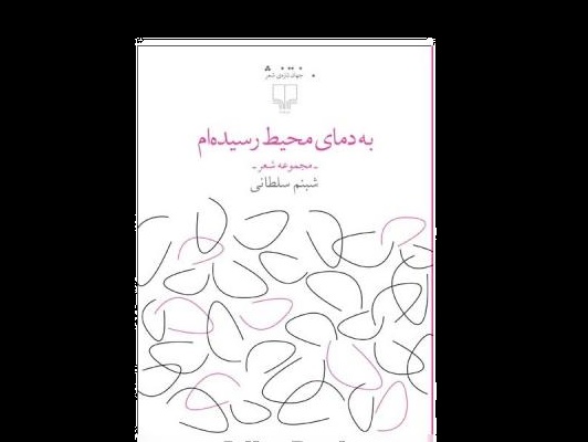 شبنم سلطانی,اخبار فرهنگی,خبرهای فرهنگی,کتاب و ادبیات