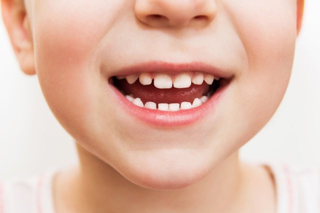 ترمیم دندان‌های کودکان با سلول‌های بنیادی,اخبار پزشکی,خبرهای پزشکی,تازه های پزشکی