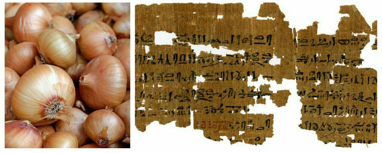 تست بارداری در مصر باستان,اخبار جالب,خبرهای جالب,خواندنی ها و دیدنی ها