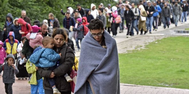 پناهجویان ونزوئلایی در پرو,اخبار سیاسی,خبرهای سیاسی,اخبار بین الملل