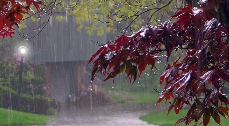 بارش در پاییز,اخبار اجتماعی,خبرهای اجتماعی,محیط زیست