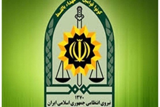 نیروی انتظامی جمهوری اسلامی نیروی انتظامی جمهوری اسلامی,اخبار سیاسی,خبرهای سیاسی,مجلس