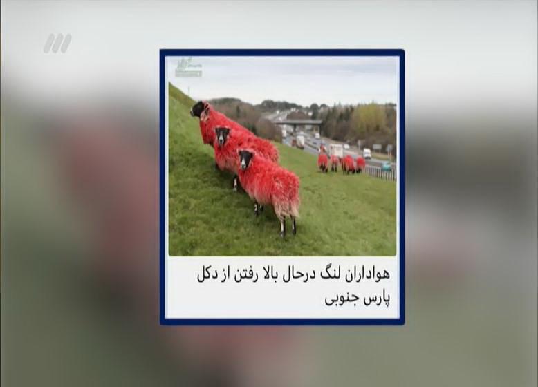 برنامه نود,اخبار فوتبال,خبرهای فوتبال,حواشی فوتبال