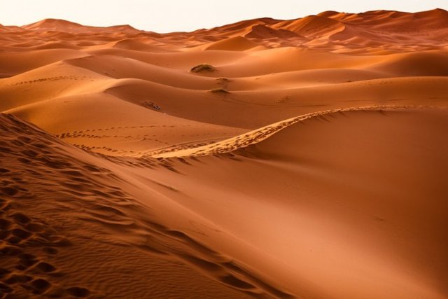صحرای آفریقا,اخبار علمی,خبرهای علمی,پژوهش
