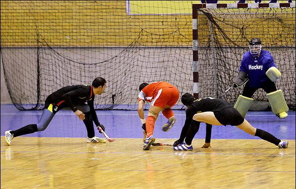 تیم ملی هاکی تیم ملی هاکی,اخبار ورزشی,خبرهای ورزشی,ورزش