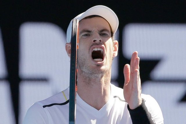 اندی ماری,اخبار ورزشی,خبرهای ورزشی,ورزش