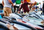 بازار ماهی,اخبار اقتصادی,خبرهای اقتصادی,کشت و دام و صنعت