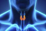 تیروئید,اخبار پزشکی,خبرهای پزشکی,مشاوره پزشکی