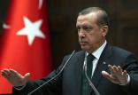 رجب طیب اردوغان,اخبار سیاسی,خبرهای سیاسی,خاورمیانه