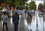 بارش باران,اخبار اجتماعی,خبرهای اجتماعی,محیط زیست