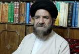 سیدهاشم بطحایی,اخبار سیاسی,خبرهای سیاسی,اخبار سیاسی ایران
