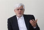 محمدرضا عارف,اخبار سیاسی,خبرهای سیاسی,مجلس