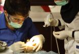دندانپزشک,اخبار پزشکی,خبرهای پزشکی,بهداشت