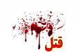قتل در تهران,اخبار حوادث,خبرهای حوادث,جرم و جنایت