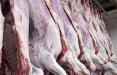 قیمت گوشت گوسفندی وارداتی,اخبار اقتصادی,خبرهای اقتصادی,کشت و دام و صنعت